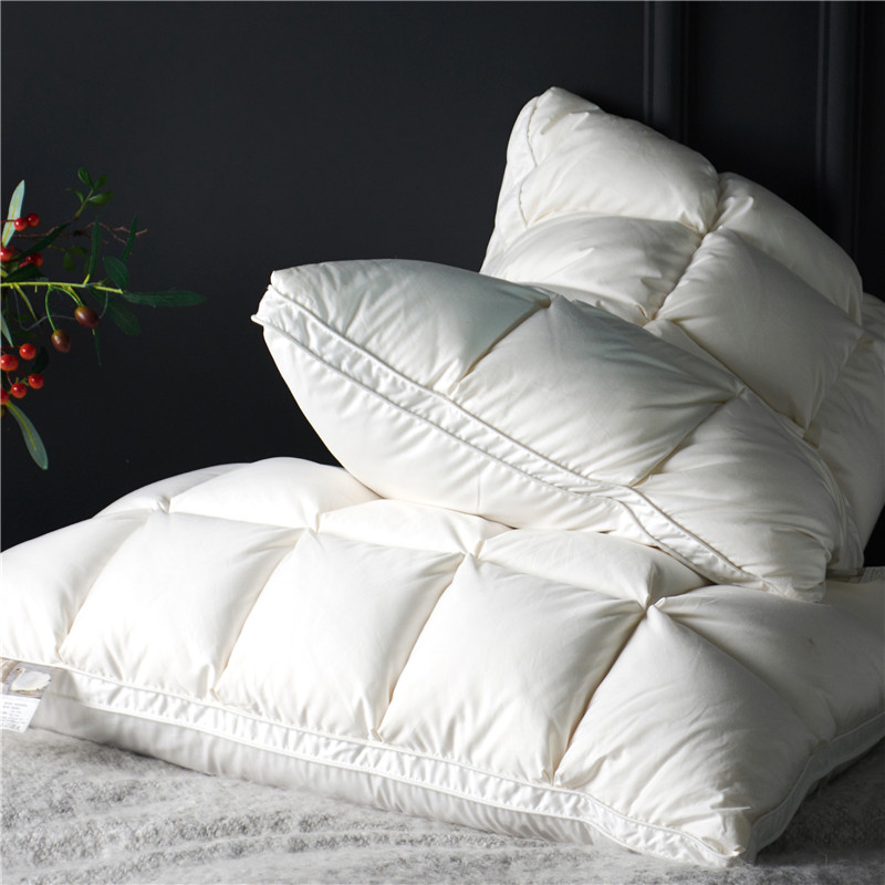 Home Textiles Premium - Include 2 pezzi 20x30 